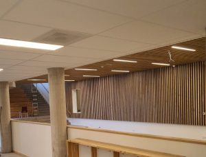 siberisch lariks, lariks, coating, hout, wood, interieur, coating, mat, transparant, Hout+, Eissink, Utrecht, bouwen, samen