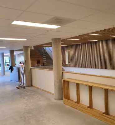 Syberisch Lariks transparant behandelen